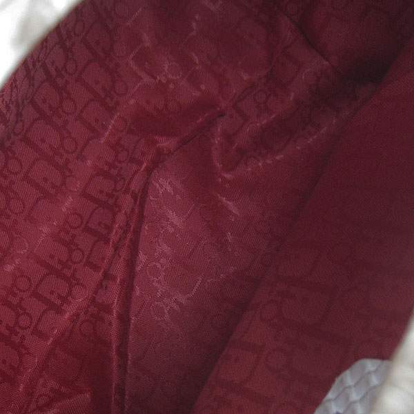 Christian Dior 1886 Snake Leather Shoulder Bag-Gray